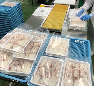 新井作業風景たこ