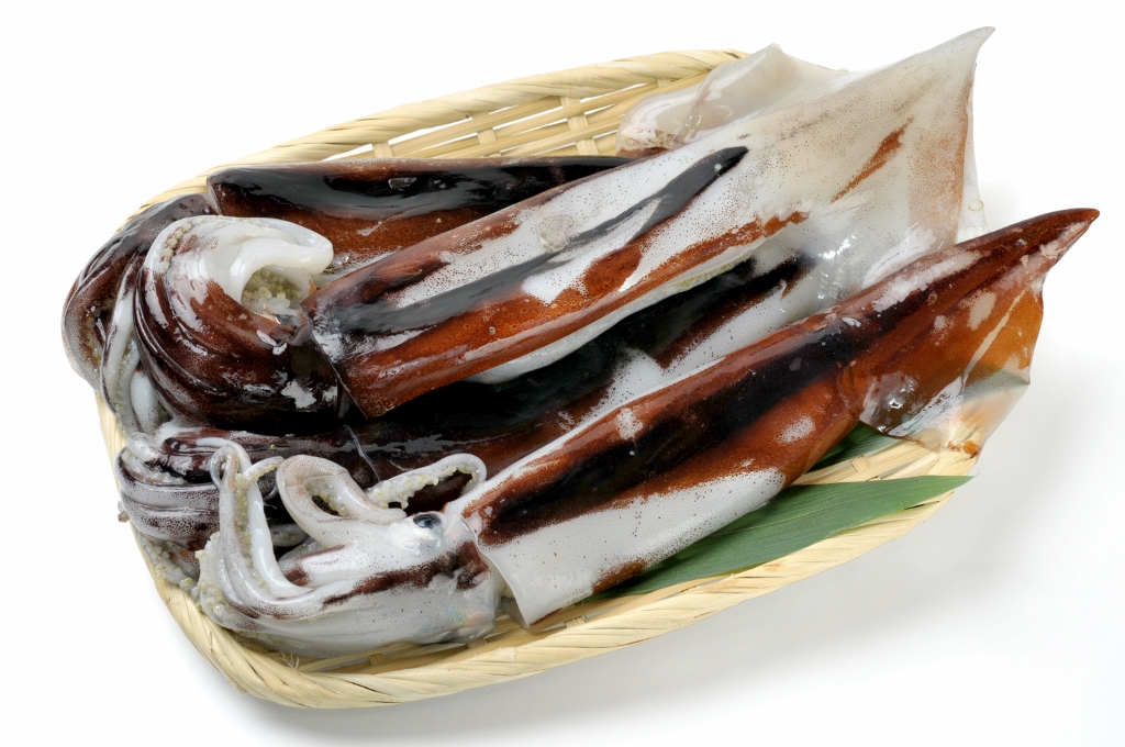 青森産するめいか